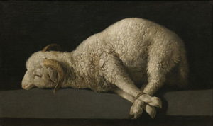 66-lamb-of-god-francisco-de-zurbaran